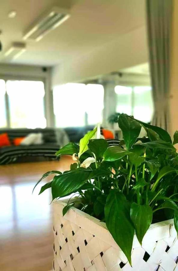 Tej Hostel Λιουμπλιάνα Εξωτερικό φωτογραφία